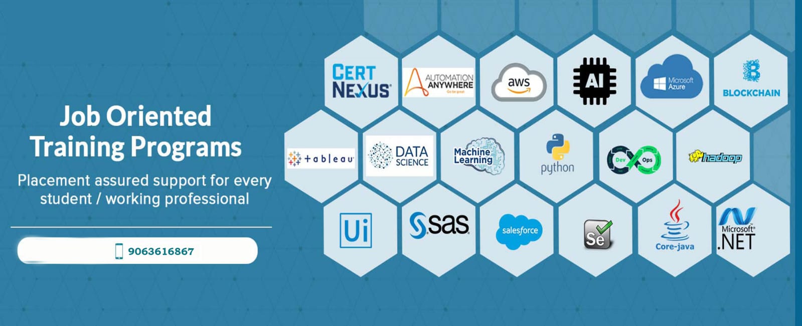 Comprehensive SAP Training Program